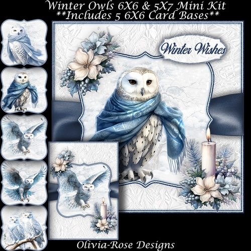 Winter Owls Mini Kit  