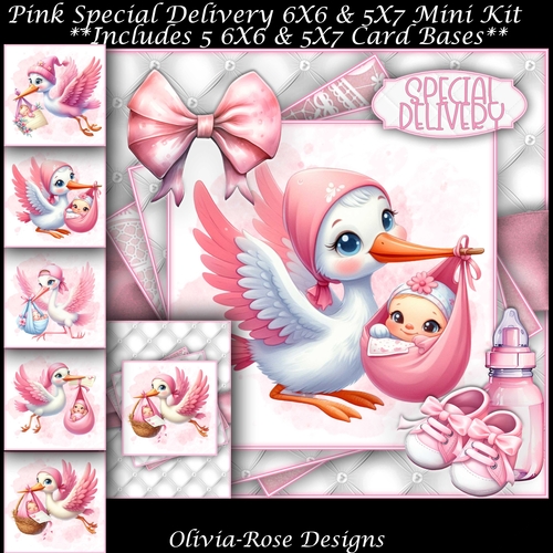 Pink Special Delivery Mini Kit 