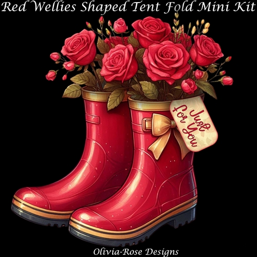 Red Wellies Shaped Tent Fold Mini Kit