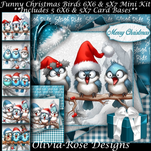 Funny Christmas Birds Mini Kit