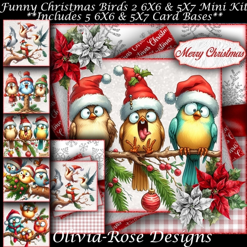 Funny Christmas Birds 2 Mini Kit 