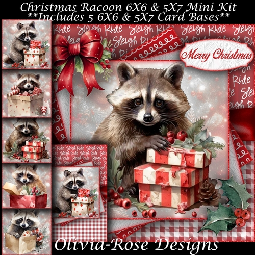 Christmas Racoon  Mini Kit