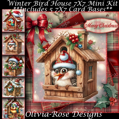 Winter Bird House Mini Kit 7X7