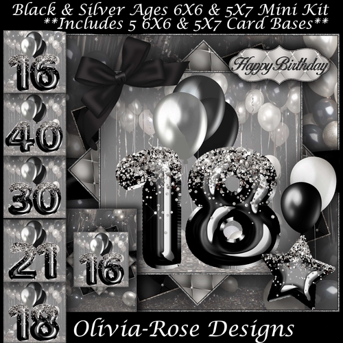 Black & Silver Ages 16-40 Mini Kit 