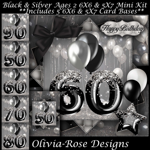 Black & Silver Ages 50-90 Mini Kit 