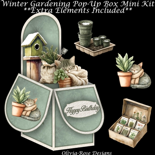 Winter Gardening  Pop-Up Box Mini Kit 