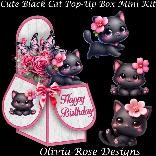 Cute Black Cat Pop-Up Box Mini Kit