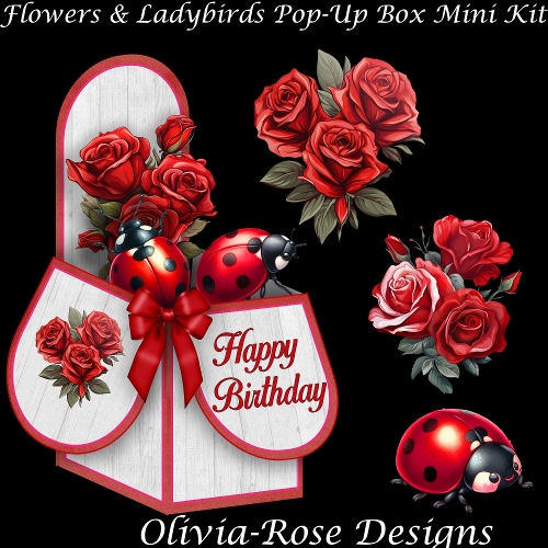 Flowers & Ladybirds Pop-Up Box Mini Kit
