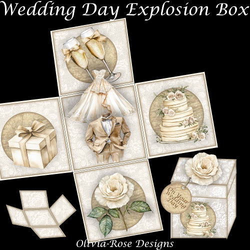 cup1375415_104105 - Wedding Day Explosion Box 