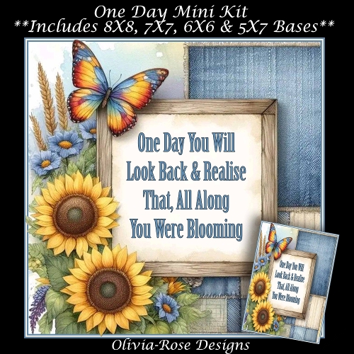 One Day Mini Kit   
