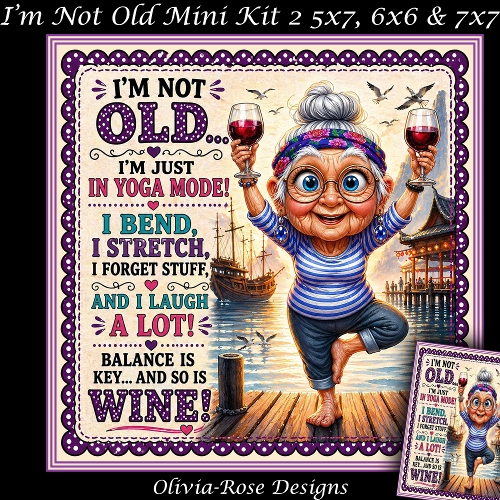 Im Not Old Mini Kit 2