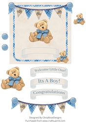 New Baby Boy teddy bear 