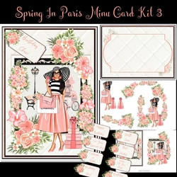 Spring In Paris Mini Card Kit #3