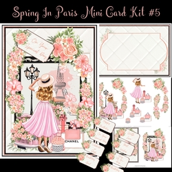 Spring In Paris Mini Card Kit #5