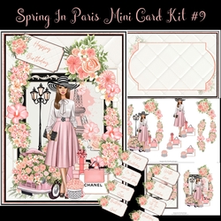 Spring In Paris Mini Card Kit #9