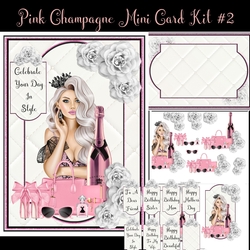 Pink Champagne Mini Card Kit #2