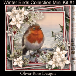 Winter Birds Collection Mini Kit#1