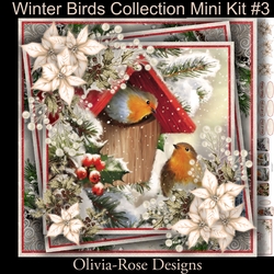 Winter Birds Collection Mini Kit#3