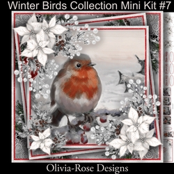 Winter Birds Collection Mini Kit#7