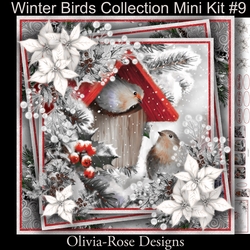 Winter Birds Collection Mini Kit#9