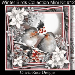 Winter Birds Collection Mini Kit#12