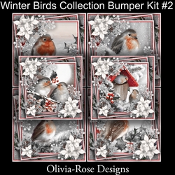 Winter Birds Collection bumper Kit #2