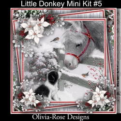 Little Donkey Mini Kit #5