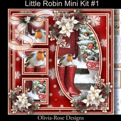 Little Robin Mini Kit #1