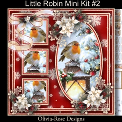 Little Robin Mini Kit #2