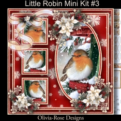 Little Robin Mini Kit #3