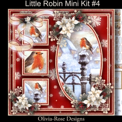 Little Robin Mini Kit #4