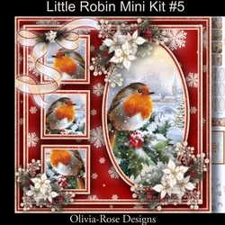 Little Robin Mini Kit #5