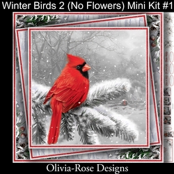 Winter Birds Collection 2 (NO Flowers) Mini Kit#1