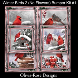 Winter Birds Collection 2 (NO Flowers) Bumper Kit#1