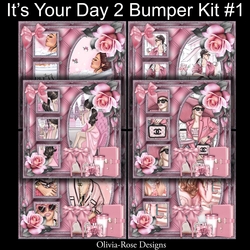 Its Your Day 2 Bumper Kit#1