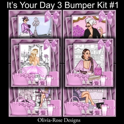 Its Your Day 3 Bumper Kit#1