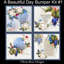 A Beautiful Day Bumper Kit #1
