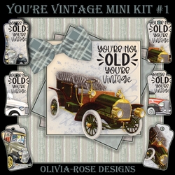 Youre Vintage Mini Kit #1