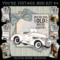 Youre Vintage Mini Kit #4