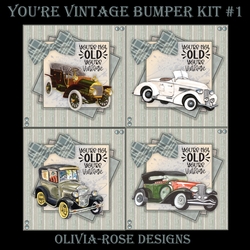 Youre Vintage Bumper Kit #1