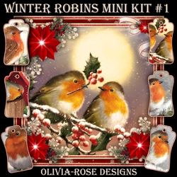 Winter Robins Mini Kit #1