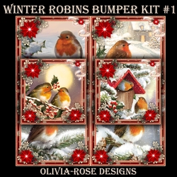 Winter Robins Bumper Kit #1   
