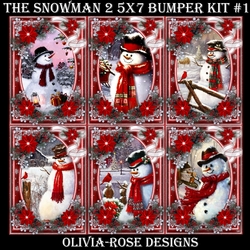 The Snowman 2 5X7 Bumper Kit #1