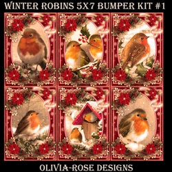 Winter Robins 5X7 Bumper Kit #1 1