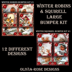 Winter Robins & Squirrel Large Bumper Kit #1