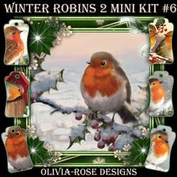 Winter Robins 2 Mini Kit #6  
