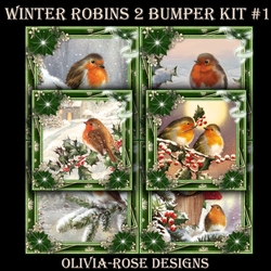 Winter Robins 2 Bumper Kit #1