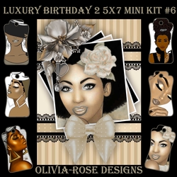 Luxury Birthday 2 5X7 Mini Kit #6      ,    