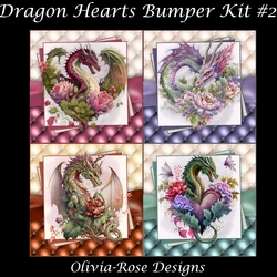 Dragon Hearts Bumper Kit #2
