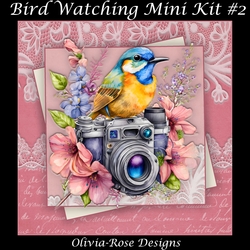Bird Watching Mini Kit #2